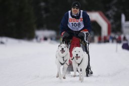 Lenzerheide 2013